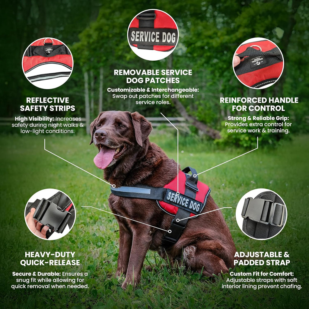Service Dog Vest with Hook and Loop Straps & Matching Leash Set - Harnesses from XXS to XXL - Service Dog Harness Features Reflective Patch and Comfortable Mesh Design (Pink, XXS)